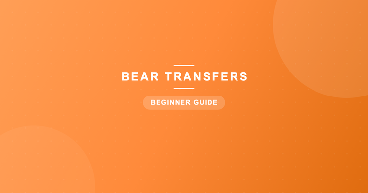 What is a gang sheet for DTF transfers - Bear Transfers guide