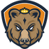 Bear Transfers
